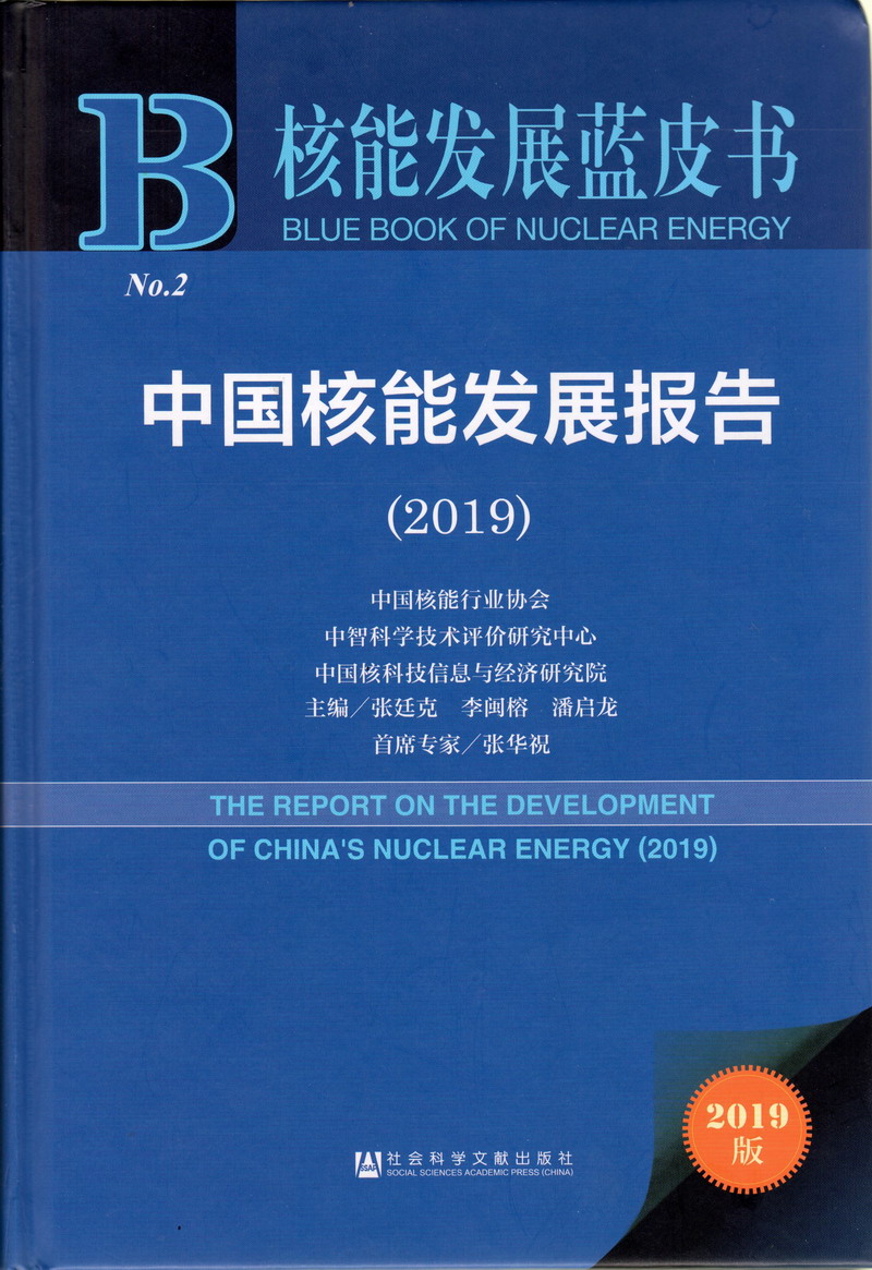 黄片污污污操逼免费看好多水好爽啊啊啊啊啊中国核能发展报告（2019）