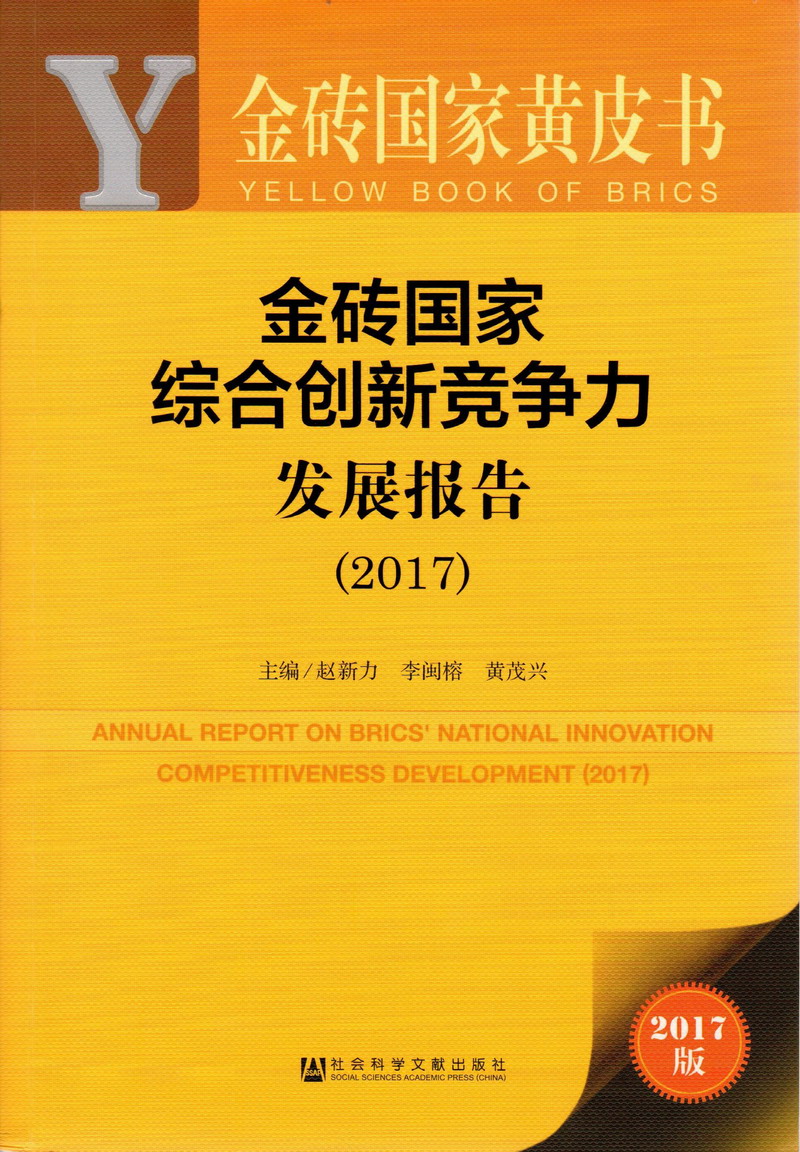 骚穴好爽快点视频金砖国家综合创新竞争力发展报告（2017）